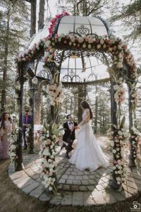 Vendor Photos